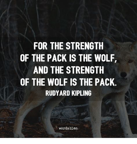 Rudyard Kipling Quotes, Wolf Pack Quotes, Inspirational Animal Quotes, Lone Wolf Quotes, See Things Differently, Tattoo Wolf, Discover Quotes, Wolf Quotes, Rudyard Kipling