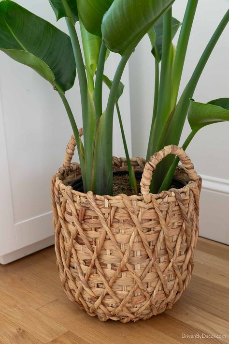 Affordable woven planter Affordable Planters, Jute Planters, Oasis Bedroom, Woven Planter, Garden Line, Live Room, Kitchen Table Centerpiece, Wicker Planter, Boho Chic Bedroom