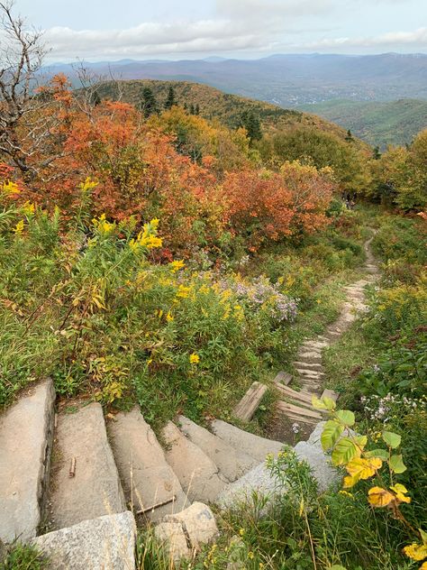 Mount Greylock Massachusetts, Appalachian Trail Aesthetic, Massachusetts Mountains, Appalachian Aesthetic, Appalachian Farm, Massachusetts Nature, Devils Bathtub, Boston Life, Content Branding