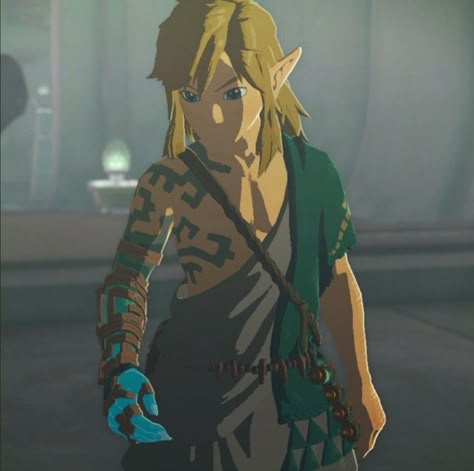 Link Botw, Link Cosplay, Zelda Cosplay, Zelda Tears Of The Kingdom, Tears Of The Kingdom, Link Zelda, Zelda Art, Legend Of Zelda Breath, Zelda Breath