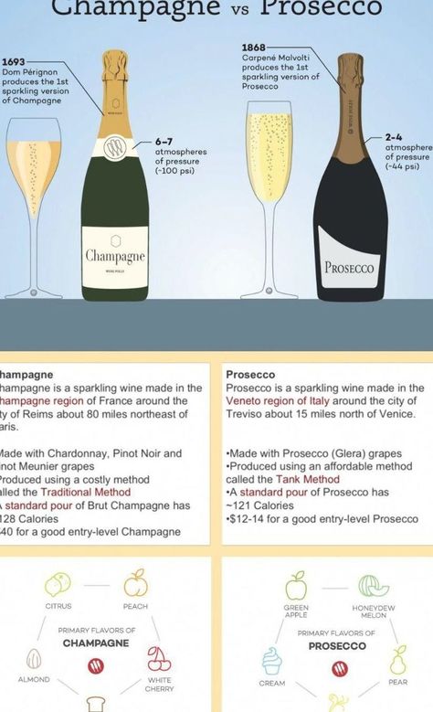 Prosecco Pairing, Champagne Pairing, Wine Chart, Wine Cheese Pairing, Wine Folly, Homebrew Recipes, Wine Education, Wine Tasting Party, Champagne Party