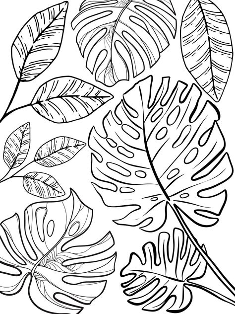 Easy Colouring Drawings, Cute Plant Coloring Pages, Coloring Pages Plants, Plants Outline, Plant Coloring Pages, Drawing Book Pdf, Harry Potter Coloring Book, Coloring Adult, Free Adult Coloring Printables