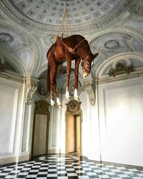 Maurizio Cattelan, Taxidermy Art, T Art, Historical Art, Famous Art, Italian Artist, Contemporary Artist, Bad Boy, Conceptual Art