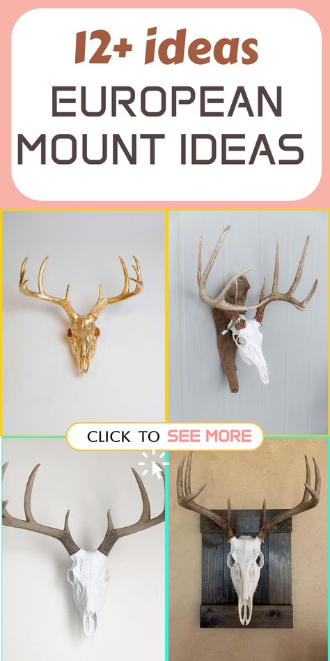 Upgrade the aesthetic of your trophy room with these elegant European mount ideas, highlighting the beauty of your hunting conquests in a classic manner. Proudly exhibit deer, elk, or other game skulls on rustic wooden plaques or sleek metal stands for a sophisticated touch. Whether you lean towards a traditional or contemporary display, these suggestions will infuse a hint of wilderness appeal to your living space or cabin décor. Show off your hunting achievements with style and grace! Moose Mount Living Room, Antler Art Projects, European Mount Display, Deer Skull Mount Ideas, Deer Antler Display, Deer Horns Decor, European Deer Mount Ideas, Deer Skull Wall Mount, European Deer Mount