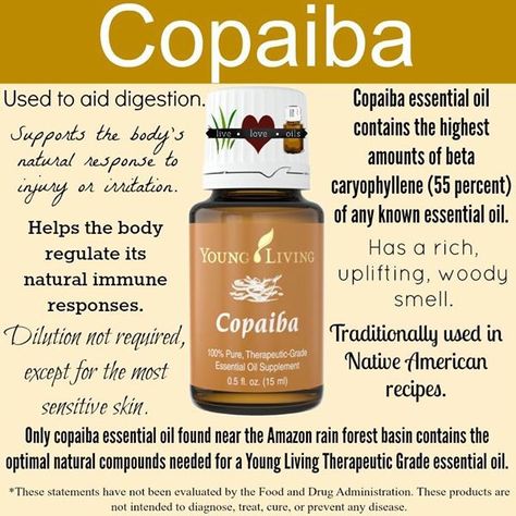 Copaiba Young Living Copaiba, Copaiba Essential Oil, Healing Essential Oils, Love Natural, Body Love, Young Living Essential Oils, Young Living, Essential Oil, Essential Oils