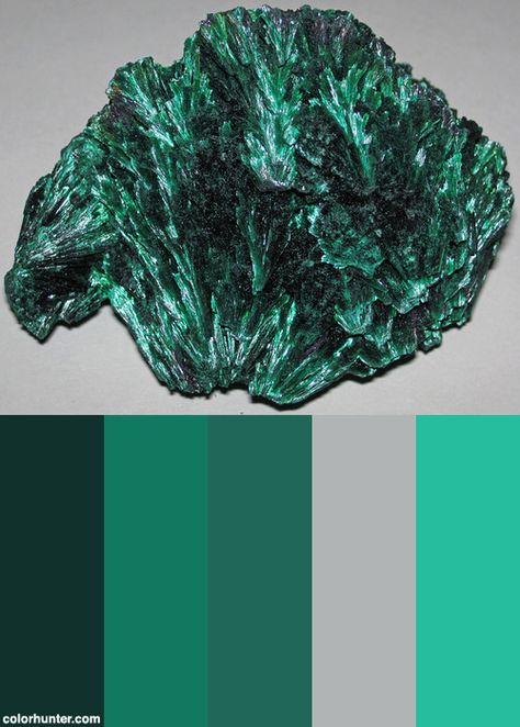 Malachite+(katanga+Province,+Zaire)+2+Color+Scheme Malachite Color Palette, 2 Color Palette, Green Color Schemes, Pale Colors, Color Palettes, Color Scheme, 2 Colours, Green Colors, Color Schemes