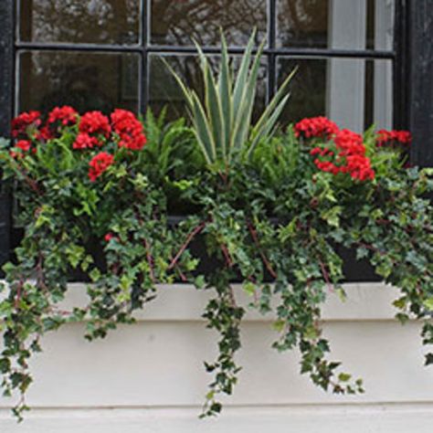 Outdoor Faux Flowers Planter Boxes, Faux Plants For Window Boxes, Outdoor Faux Plants, Window Sill Plants, Faux Outdoor Plants, Artificial Flowers Outdoors, Planter Arrangements, Faux Trees, Front Yards Curb Appeal