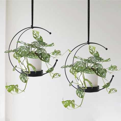 PRICES MAY VARY. MATERIAL- Made of high quality iron, high temperature paint, strong but light weight（Plants and Planter not included) SIZE-This Moon Plant hanger is about 38 inch high, the holder diameter is about 5 inch, suitable for pots which smaller than 5 inch MODERN AND ELEGANT-This ceiling plant hangers is a perfect addition to your decor, adds the perfect touch to your any rooms. This beauty would be brightening up your living room without taking up a lot of space USAGE- Suitable for pl Moon Planter, Gardening Vertical, Wall Plants Indoor, Wall Plants, Moon Plant, Planter Holder, Plant Bracket, Indoor Plant Wall, Wall Planters Indoor