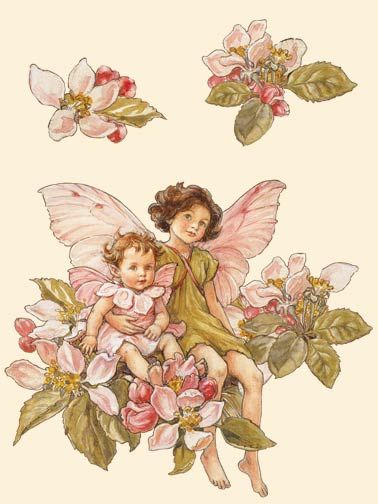 Flower Fairies Apple Blossom Flower, Ideas Navidad, Fairy Wallpaper, Fairy Illustration, Fairy Pictures, Cicely Mary Barker, Vintage Fairies, Fairies Elves, Fairy Book