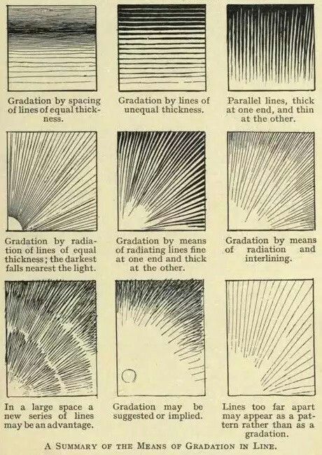 Art Studies Reference, Natural Art Drawings, Line Hatching Art, Drawing Over Book Pages, Lines In Drawing, Line Art Shading, Line Art Study, Line Study Art, How To Ink Drawings