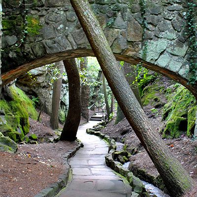 Rock City Gardens | Chattanooga Attraction | Buy Tickets | Lookout Mountain Fantasy Sanctuary, Rock City Chattanooga, Rock City Gardens, Lookout Mountain Georgia, Lookout Mountain Tennessee, Castles In America, Gatlinburg Tennessee Vacation, Arkansas Vacations, Tennessee Road Trip