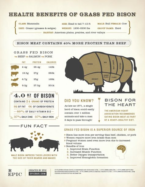 Health Benefits of Grass Fed Bison Meat Raising Buffalo, Raising Bison, Bison Farming, Bison Ranching, Bison Farm, Meat Cuts Chart, Beef Cuts Chart, Bison Ranch, Bison Recipes