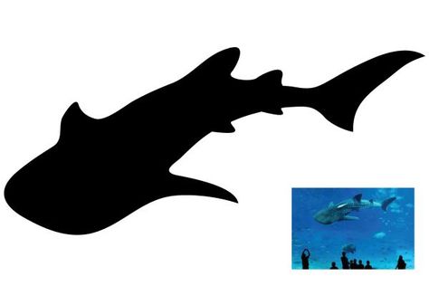 Designs by crealogo88 - silhouette drawing of a whale shark Whale Shark Pumpkin Carving, Whale Shark Silhouette, Shark Reference, Shark Stencil, Shark Nails, Zoo Drawing, Whale Shark Tattoo, Whale Silhouette, Shark Silhouette