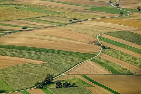 Agriculture, Field, Arable Land History Of Agriculture, Ag Day, Green Giant Arborvitae, Giant Arborvitae, Agricultural Sector, Agricultural Land, Land Surveying, Green Giant, Agricultural Practices