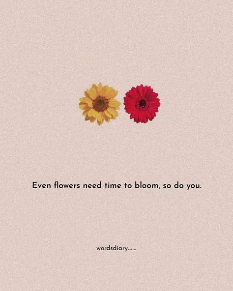 Shayari On Flowers, Word Expression, Sunset Quotes Instagram, Poetry Ideas, Quotes Hindi, Flower Quotes, Sunset Quotes, Shayari In Hindi, Quotes Love