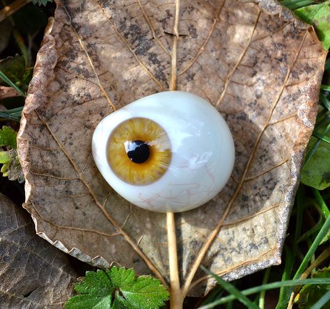 Glass Eye Prosthetic, Sean Core, Alex Keller, Prosthetic Eye, Globe Photography, Light Brown Color, Eye Photography, Surgical Instruments, Ap Art