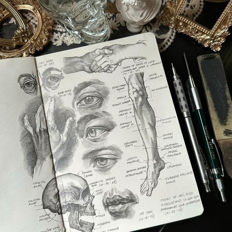 Anatomy sketches and studies This is what my pinterest feed looks like lately 😂 . . . . . . . #anatomysketch #anatomydrawing #anatomyart… | Instagram Notebook Sketches, Pinterest Feed, Gcse Art Sketchbook, Human Anatomy Drawing, Anatomy Sketches, Drawing Studies, Anatomy Study, Anatomy Drawing, Art Prompts