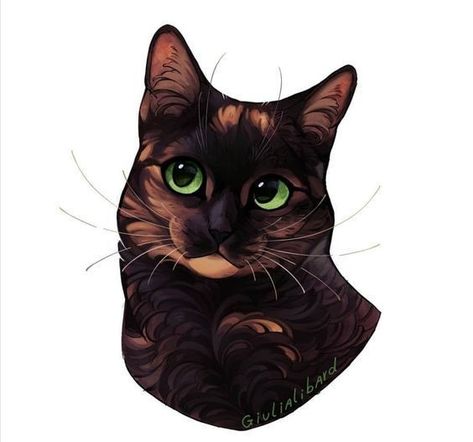 Tortie Cat Drawing, Gift Ideas Aesthetic, Cats Animated, Cat Gift Ideas, Green Eyed Cat, Tortoise Cat, Warrior Cat Drawings, Big Cats Art, Warrior Cats Art