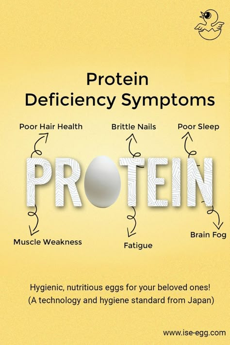 egg, protein, women protein, men protein, protein deficiency, nutrition, eggs, healthy food, healthy eating, eating healthy food Protein Deficiency Symptoms, Muscle Weakness And Fatigue, Protein A Day, Protein Deficiency, Deficiency Diseases, Teaching Growth Mindset, Deficiency Symptoms, Human Body Organs, Blood Type Diet