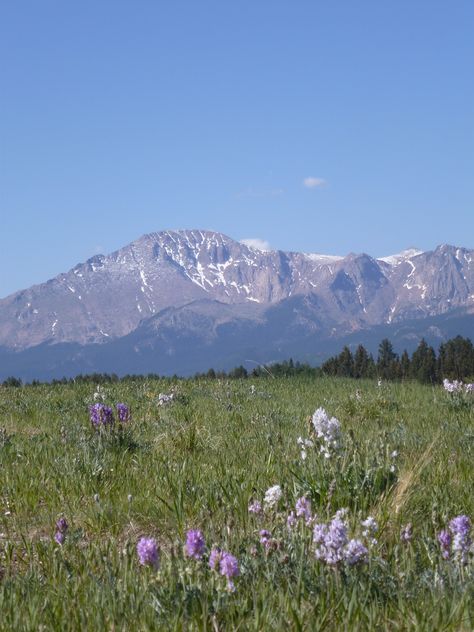 Pikes Peak (Woodland Park, Colorado) Mountain Collage, Colorado Vacation Summer, Woodland Park Colorado, Pikes Peak Colorado, Water For Health, Royal Gorge, Colorado Summer, Colorado Winter, Pinterest Business