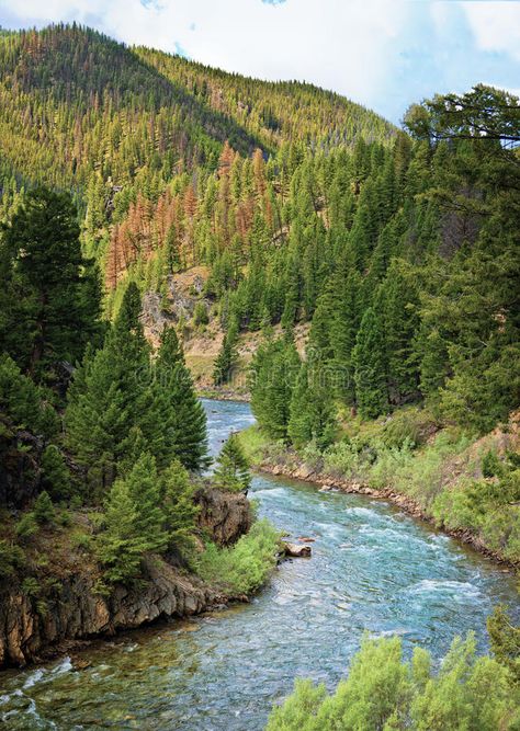 Salmon River, Idaho. The Salmon River, known as The River of No Return, winds th , #sponsored, #Return, #winds, #rugged, #Salmon, #River #ad Salmon River, Underwater Creatures, Stock Photography Free, Idaho, Montana, Abstract Design, Stock Images, Water