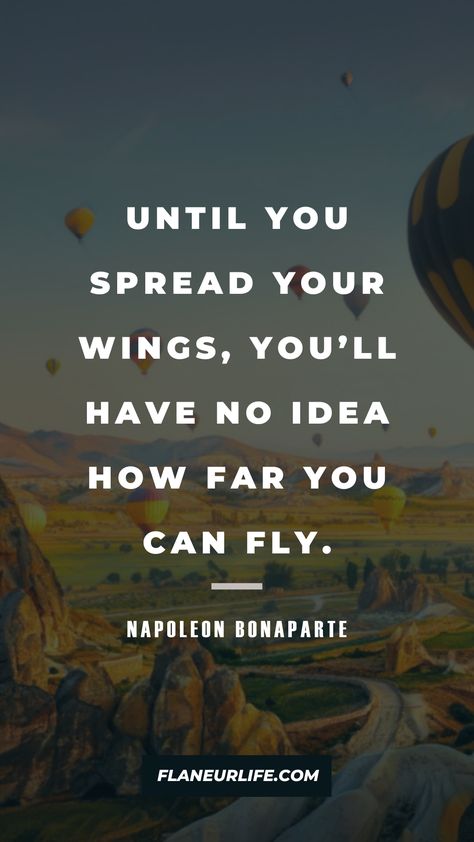 Growing Wings Quotes, Flying Quotes Airplane Inspiration, Flying Quotes Inspirational, Quotes About Birds Flying, Fly High Quotes, Quotes About Flying, Plane Quotes, Flying Quotes, Fly Quote