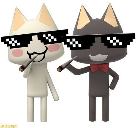 Toro And Kuro Match Pfp, Kuro Inoue, Toro And Kuro, Sony Cat, Toro Cat, Funny Looking Cats, Ayyy Lmao, White And Black Cat, Toro Inoue