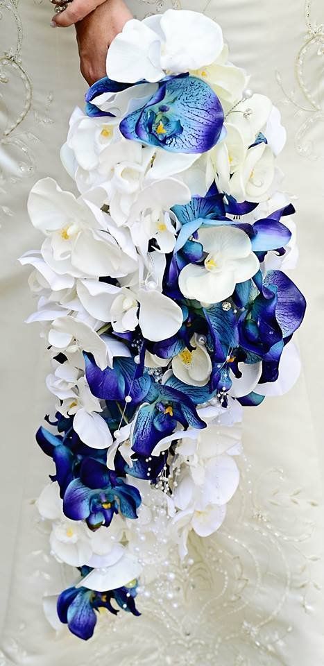 Beautiful Orchid Cascading Bridal Bouquet that is lush in volume and long in length. White orchids with blue accent orchids and pearl and crystal sprays. The silk orchids are real touch artificial florals. Similar bridal bouquets are priced at $275.00 - $400.00 each. Blue Orchid Wedding Bouquet, Blue Orchid Bouquet, Blue Orchid Wedding, Orchid Bouquet Wedding, Cascading Bridal Bouquets, Silk Orchids, Wedding Flower Inspiration, Blue Accent, Beautiful Orchids