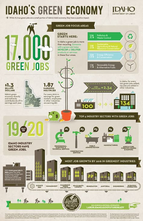 Economy Infographic, Green Economy, Infographic Layout, Green Jobs, Infographic Inspiration, Research Poster, Data Visualization Design, Job Help, Study Flashcards