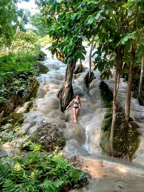 Sticky Waterfall is one of those places that’s so beautiful it’s almost surreal. (Great name hey? It's not nasty sticky though, just good sticky.) #Thailand #lowbudgetadventure #rawsafari http://rawsafari.com/blog/sticky-waterfall-chiang-mai-thailand/ Sticky Waterfall Chiang Mai, Healthy Cheeseburger, Cheeseburger Wrap, Thailand Waterfall, Chang Mai Thailand, Container Project, Thailand Chiang Mai, Bread Garlic, Thailand Destinations