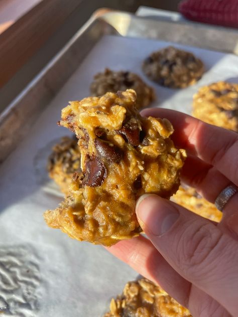 Banana Protein Breakfast Cookies | Delightful by Gabriella Banana Protein Recipes, Banana Protein Breakfast, Banana Protein Bites, Banana Protein Cookies, Protein Breakfast Cookies, Banana Cookie Recipe, Banana Breakfast Cookie, Ripe Banana Recipe, Healthy High Protein Snacks