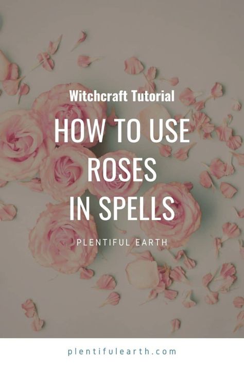 Rose Magical Properties | How to Use Roses in Spells » Plentiful Earth Rose Petal Magic, Rose Petal Witchcraft, Rose Water Witchcraft Uses, Dried Rose Petals Witchcraft, Rose Petal Spells, Rose Petal Uses Witchcraft, Spells With Rose Petals, Rose Spells, Rose Petals Magical Properties