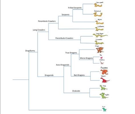 Dragon Phylogeny (and competing arguments) - Imgur Cave Dragon, Dragon Types, Writing Myths, Dragon Cave, Types Of Dragons, Creature Drawings, Comics Memes, Creature Feature, Mythical Creatures Art