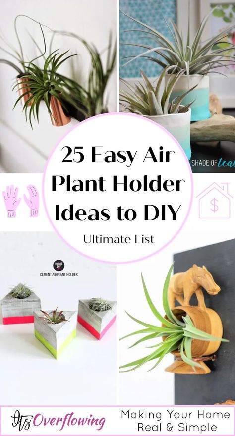 25 Easy DIY Air Plant Holder Ideas to Display Air Plants Air Plant Holder Ideas, Air Plant Display Diy, Air Plants Diy Display, Air Plant Holder Diy, Plant Holder Ideas, Diy Air Plant Holder, Hanging Plant Propagation, Plant Holder Diy, Air Plants Diy