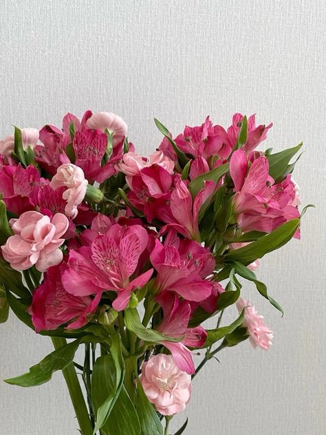 Azaleas Bouquet, Alstroemeria Bouquet, Alstroemeria Flower, Aesthetic Bouquet, Flower Bouquet Gift, Pink Wildflowers, Gift Aesthetic, Flower Arrangements Simple, Flowers Bouquet Gift