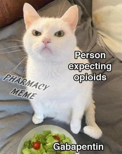 Pharmacy Technician Humor, Pharmacy Humor, Pharmacy Technician, Pharmacy, Medical, Humor, Memes, Humour