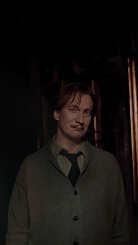 Remus Lupin Actor, Remus Lupin Wallpaper, Remus Lupin Moony, Lupin Harry Potter, Remus And Sirius, Images Harry Potter, Weasley Twins, Hogwarts Express, Remus Lupin