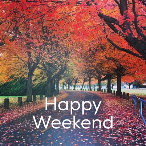 Happy Saturday! I hope you have a perfect weekend!! #newday #happyweekend #enjoy #perfectday #goodlife #thesimplethings #saturdaylove #happysaturday #lovelyday #awesome #peace #blessings #live #laugh #love #fall #FirstWeekendOfFall Happy Weekend Pictures, Happy Saturday Quotes, Weekend Images, Saturday Quotes, Good Morning Saturday, Happy Weekend Quotes, Good Day Sunshine, Happy Week End, Weekday Quotes