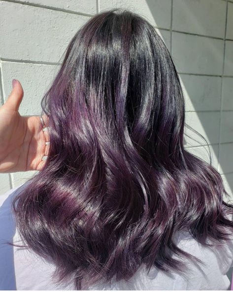 Blackberry Hair Color Dark Short, Hair Color Ideas Plum, Blueberry Hair Color, Blackberry Hair Color, Winter Hair Colors For Brunettes, Blackberry Hair, Blueberry Hair, Hair Color Winter, Blackberry Hair Colour