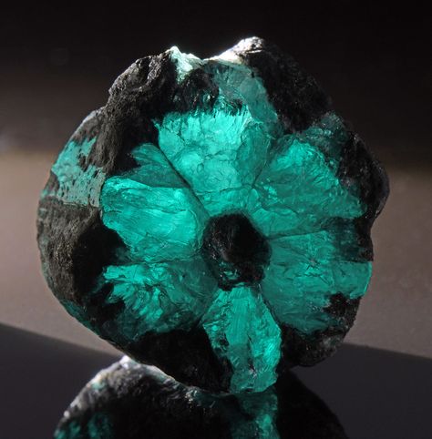 Trapiche Emeralds: A Symphony of Geology Captured in Crystal Form Rock And Minerals, Funny Animal Photos, Beautiful Bugs, Cool Rocks, Stone Feature, Ancient Aliens, Mineral Stone, Types Of Gemstones, Rock Hounding