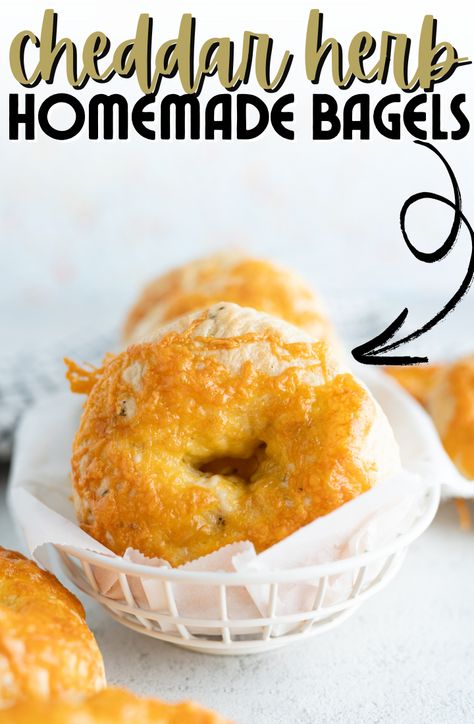 These Cheddar Herb Bagels are like a regular cheese bagel, just with a college education. The qualifications: cheese as a garnish AND dispersed inside the tender bagel alongside delicious herby speckles. | Cooking with Karli | Sweet Bagel Ideas, Best Bagel Recipe, Cheddar Bagel Recipe, Bagels Recipe Homemade, Breakfast Bagel Recipe, Cheddar Bagels, How To Make Bagels, Cooking With Karli, Sweet Breakfast Treats