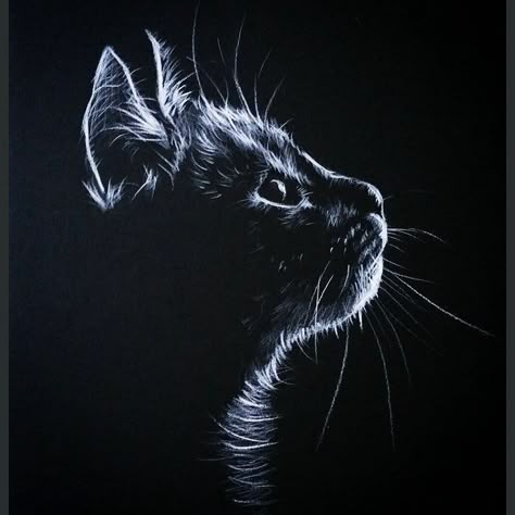 White Pencil On Black Paper, Pencil On Black Paper, Black Paper Art, Scratchboard Art, Pencil Drawing Tutorials, Black Paper Drawing, Scratch Art, White Pen, White Drawing