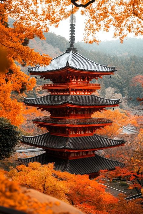 Explore Kyoto's Stunning Autumn Leaves 🍁 Kyoto in autumn is a sight to behold with its beautiful fall foliage. Visit temples and gardens to see the vibrant red and orange leaves. 🌿🍂 #AutumnLeaves #AutumnTravel #Kyoto #Japan Autumn Leaves Japan, Chinese Boat, Asia Cruise, Kyoto Temple, Japan Autumn, Japan Temple, Orange Leaves, Japanese Landscape, Orange Leaf