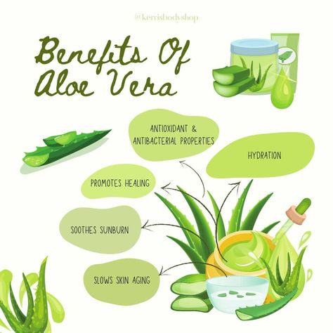 Aloe Uses, Aloe Vera Serum, Aloe Vera For Sunburn, Turmeric For Skin, Natural Aloe Vera Gel, Benefits Of Aloe Vera, Aloe Vera For Skin, Soothe Sunburn, Turmeric Soap