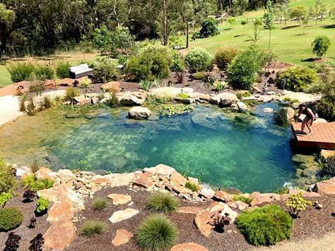 Recreation Pond, Swimming Ponds, Swimming Pool Pond, Natural Swimming Ponds, Pond Ideas, Swimming Pond, Pond Landscaping, Natural Pond, Natural Swimming Pools