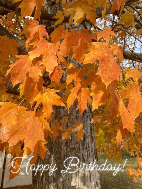 Happy Birthday Fall Images, Fall Happy Birthday, Happy Birthday Wishes For A Friend, Autumn Birthday, Birthday Greetings Friend, Happy Birthday Greetings Friends, Fall Images, Happy October, Birthday Stuff