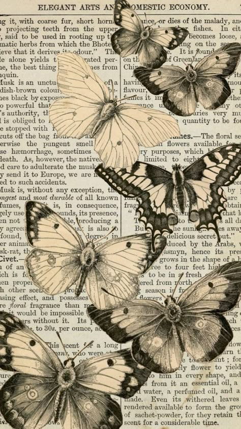 Butterfly Vibe, Grunge Scrapbook, Ephemera Collage, Grunge Posters, Arte Sailor Moon, Newspaper Art, Cute Diy Room Decor, Beautiful Flowers Photos, Scrapbook Background