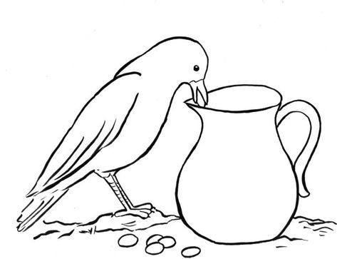 Pitcher Drawing, The Crow And The Pitcher, Bird Drawing For Kids, Thirsty Crow, Crow Pictures, Crows Drawing, Homeschool Projects, Drawing Step By Step, Crow Bird