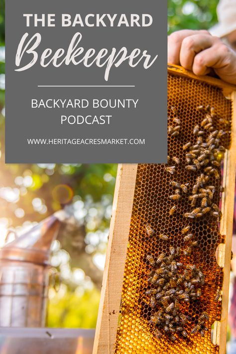 Beehive Farm, Fallout Series, Farm Chickens, Bee Colony, Backyard Beekeeping, Building A Chicken Coop, Chicken Feed, Poultry Farm, Chickens And Roosters