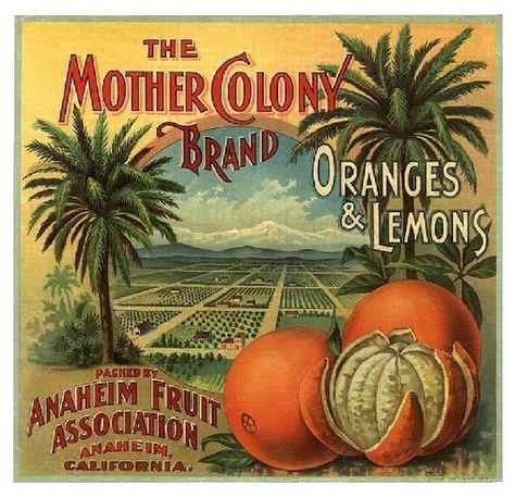 The Mother Colony Brand - Anaheim, California Orange Crate Labels, Vintage Fruit Crate Label, Tulare County, Vegetable Crate Labels, Fruit Labels, Vegetable Crates, Fruit Crate Label, Vintage Crate, Etiquette Vintage